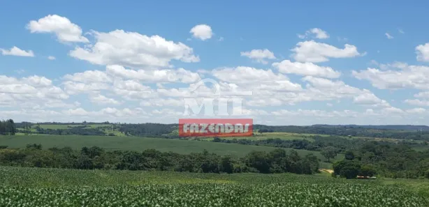 Fazenda/Sítio à venda, 20000m² no , Silvânia