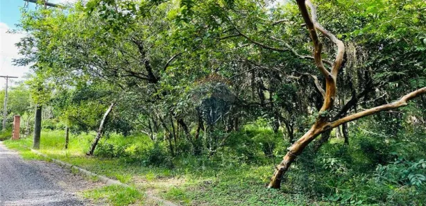 Lote/Terreno à venda, 1075m² no Centro, Nova Santa Rita
