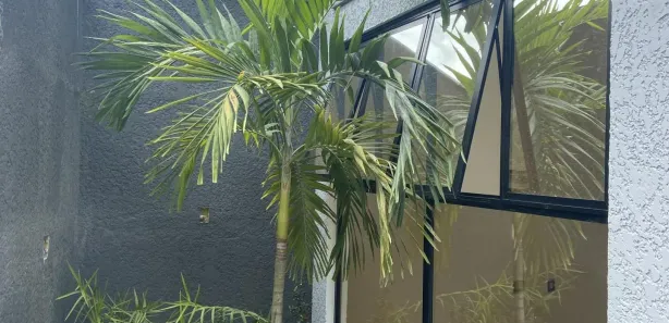 Casa com 3 Quartos à venda, 110m² no cambolo, Porto Seguro