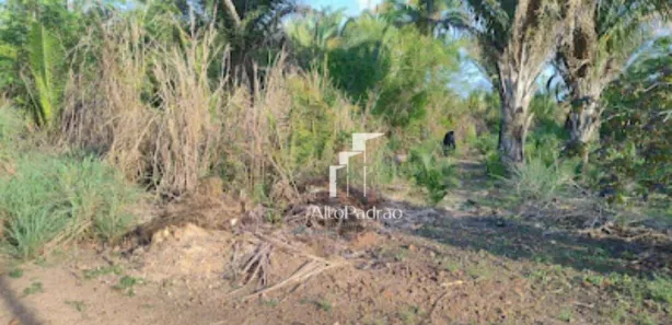 Lote/Terreno à venda, 2400m² no Cidade Nova, Demerval Lobão