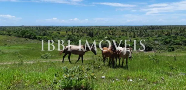 Fazenda/Sítio à venda, 484000m² no , Belmonte