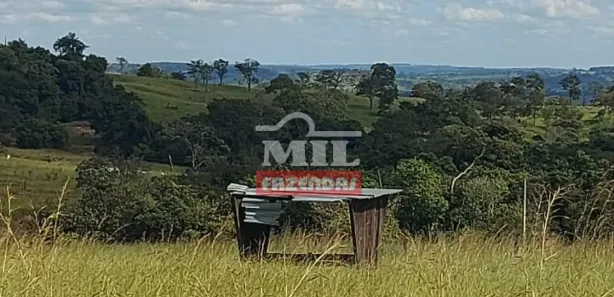 Fazenda/Sítio à venda, 500m² no , Campo Limpo de Goiás