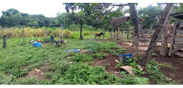 Fazenda/Sítio com 2 Quartos à venda, 30000m² no Área Rural de Brazlândia, Brasília