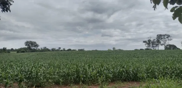 Fazenda/Sítio à venda, 247000m² no , Morro da Garça