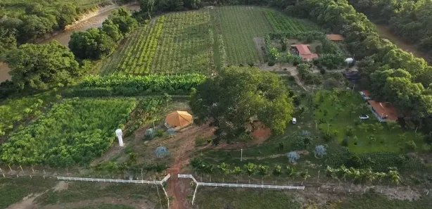 Apartamento com 3 Quartos à venda, 5000m² no Buritis, Buritis