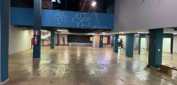 Ponto Comercial para alugar, 940m² no Coração de Jesus, Belo Horizonte