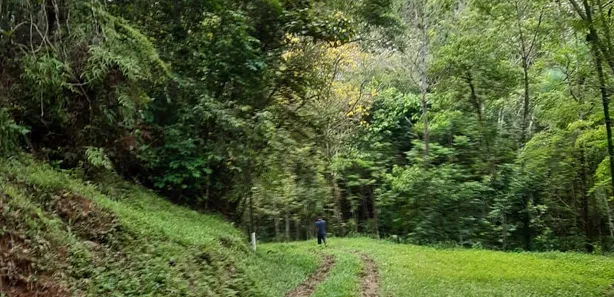 Fazenda/Sítio com 3 Quartos à venda, 1430000m² no , Casimiro de Abreu