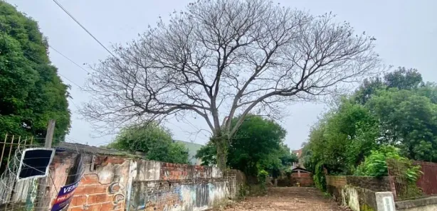 Lote/Terreno à venda, 346m² no Fião, São Leopoldo
