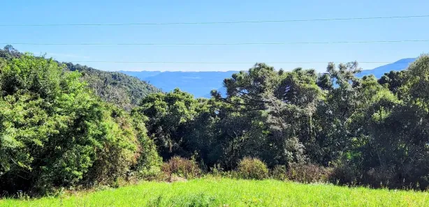 Lote/Terreno à venda, 445m² no Linha Olinda, Nova Petrópolis