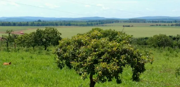 Lote/Terreno à venda, 20000m² no Zona Rural, Paraopeba