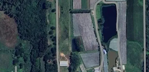 Fazenda/Sítio à venda, 24m² no Linha Palmeiro, Farroupilha