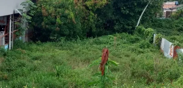 Lote/Terreno à venda no Cidade Nova, Manaus