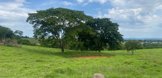 Lote/Terreno à venda, 6m² no Setor Central, Taquaral de Goiás