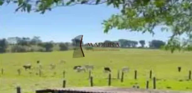 Fazenda/Sítio à venda, 121000m² no Centro, Cruzeiro do Oeste
