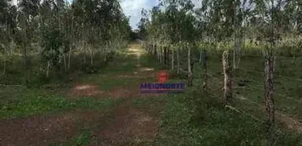 Fazenda/Sítio com 1 Quarto à venda, 2260000m² no , Itapecuru Mirim