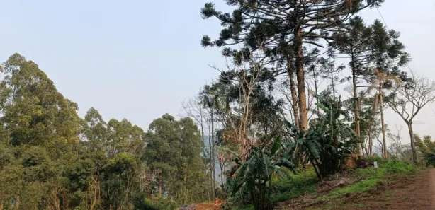 Lote/Terreno à venda, 20000m² no Linha Olinda, Nova Petrópolis