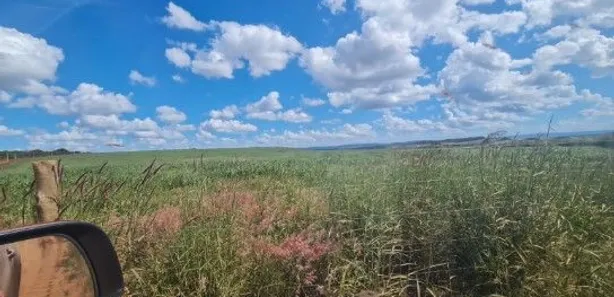 Fazenda/Sítio à venda, 11000m² no , Buritis