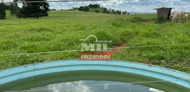 Fazenda/Sítio à venda, 20000m² no , Terezópolis de Goiás
