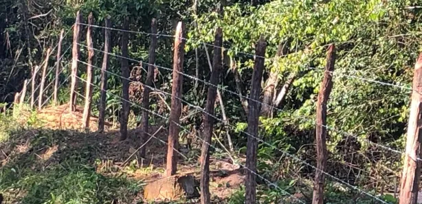 Fazenda/Sítio à venda, 700000m² no Centro, Candeias