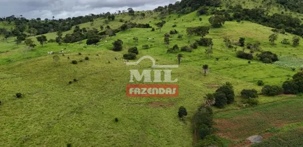 Fazenda/Sítio à venda, 20000m² no Vila Mutirão, Inhumas