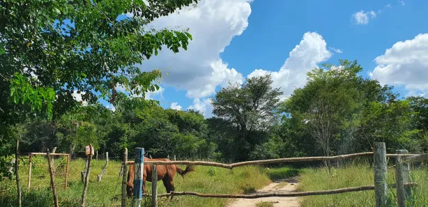 Lote/Terreno à venda, 20000m² no Zona Rural, Fortuna de Minas