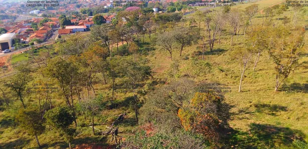 Fazenda/Sítio à venda, 72600m² no Zona Rural, Iacanga