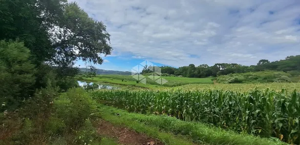 Fazenda/Sítio com 1 Quarto à venda, 208m² no Área Rural de Farroupilha, Farroupilha