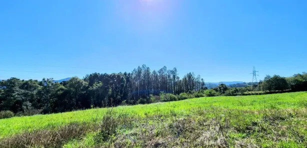 Lote/Terreno à venda, 445m² no Linha Olinda, Nova Petrópolis