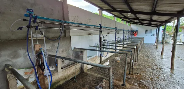 Fazenda/Sítio com 3 Quartos à venda, 820000m² no , Serraria