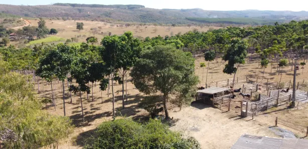 Lote/Terreno à venda, 20000m² no , Cordisburgo