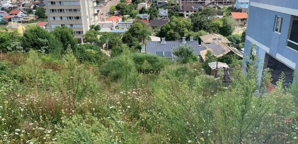 Lote/Terreno à venda, 384m² no Universitário, Bento Gonçalves