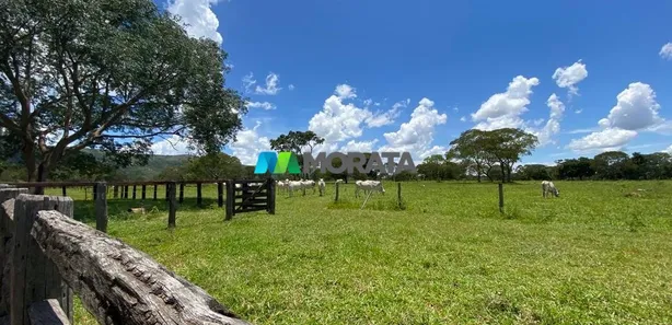 Fazenda/Sítio com 1 Quarto à venda, 1300m² no , Buritis