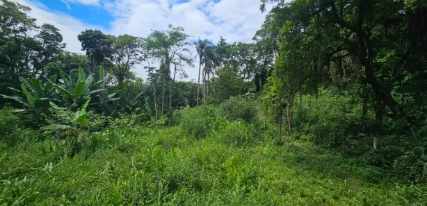 Lote/Terreno à venda, 900m² no Antonina, Antonina