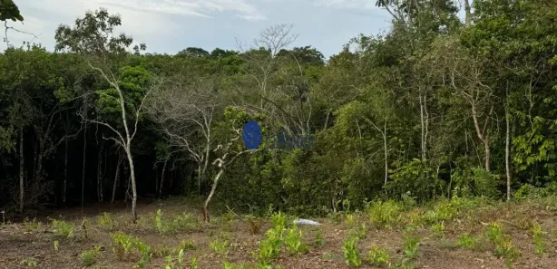 Fazenda/Sítio com 1 Quarto à venda, 3000m² no , Gameleira de Goiás