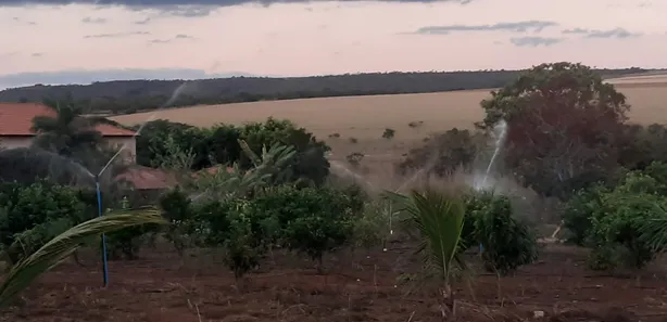 Fazenda/Sítio com 3 Quartos à venda, 25000m² no , Brasília