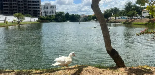 Apartamento com 2 Quartos para alugar, 56m² no Centro, Lauro de Freitas