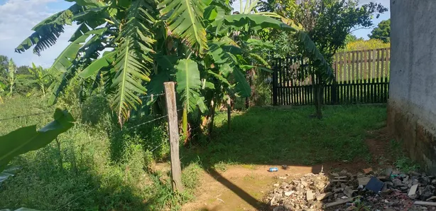 Fazenda/Sítio com 3 Quartos à venda, 5000m² no , Padre Bernardo