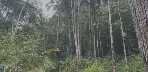Lote/Terreno à venda, 652m² no , Rio Preto da Eva