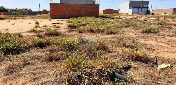 Lote/Terreno à venda, 250m² no Jardim dos Ipês II, Araguaína