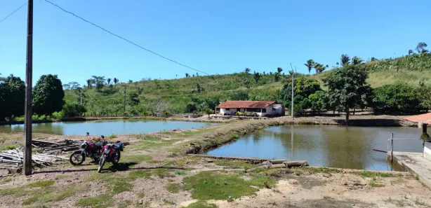 Fazenda/Sítio com 3 Quartos à venda, 1890000m² no , Coroatá