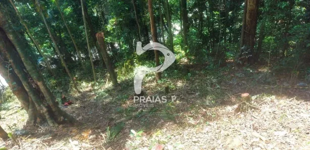 Lote/Terreno à venda, 1650m² no Balneario Praia do Perequê, Guarujá