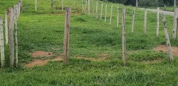Lote/Terreno à venda, 175m² no Residencial Novo Horizonte, Mogi das Cruzes