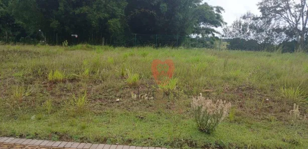 Lote/Terreno à venda, 200m² no Pompilio Gomes, Glorinha
