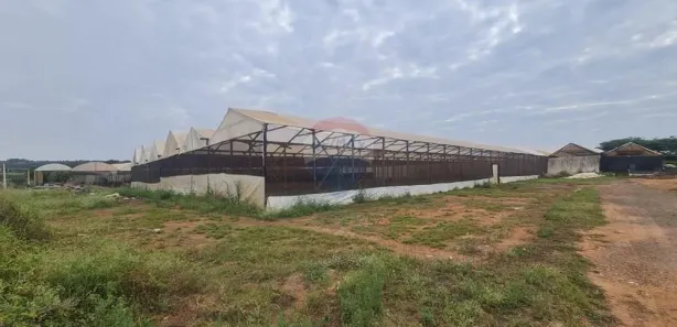 para alugar, 2000m² no , Artur Nogueira