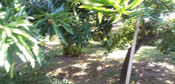 Casa com 5 Quartos à venda, 200m² no , Vera Cruz