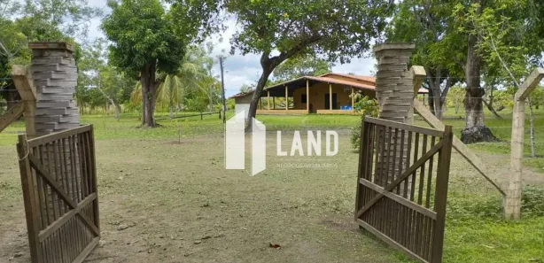 Fazenda/Sítio com 4 Quartos à venda, 10000m² no , José de Freitas