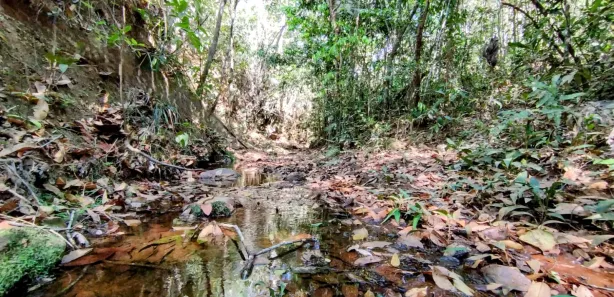 Fazenda/Sítio à venda, 20000m² no , Brasília