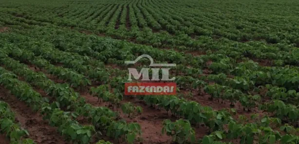 Fazenda/Sítio à venda, 330000m² no , Silvânia