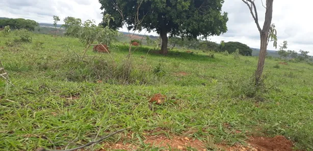 Lote/Terreno à venda, 20000m² no , Cordisburgo