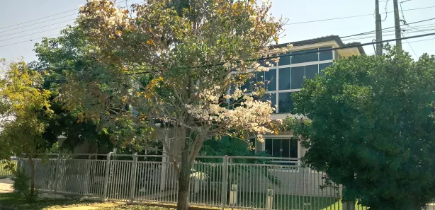 Casa de Condomínio com 5 Quartos à venda, 363m² no Residencial Lagoa Bonita I, Engenheiro Coelho